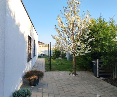 Sale Family house, Family house, Trnava, Slovakia