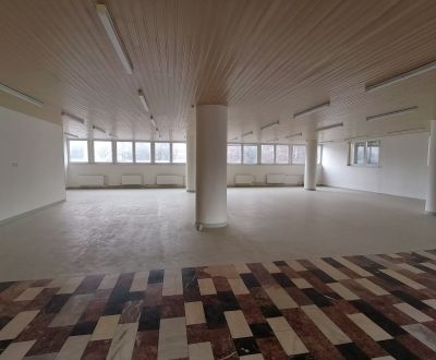 Rent Commercial premises, Commercial premises, Centrum, Martin, Slovak