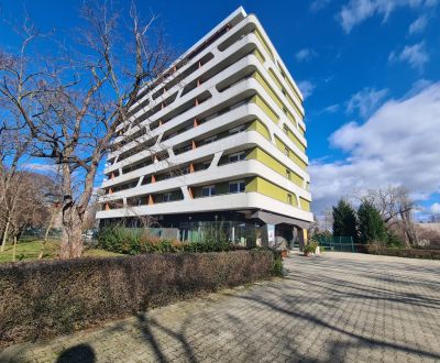Rent One bedroom apartment, One bedroom apartment, Komárno, Slovakia