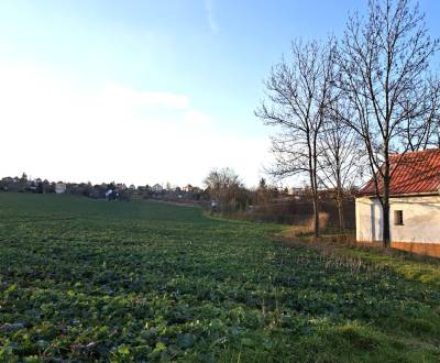 Sale Recreational land, Recreational land, Vinice, Nitra, Slovakia