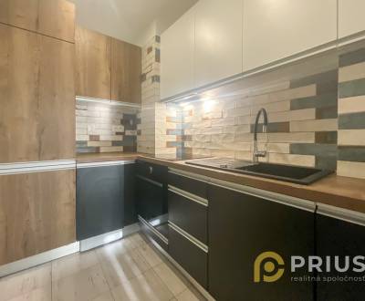 Rent Single studio, Single studio, Andreja Kubinu, Trnava, Slovakia