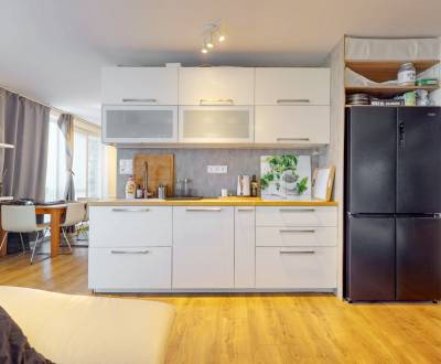 Sale Four+ bedroom apartment, Four+ bedroom apartment, Čiližská, Brati