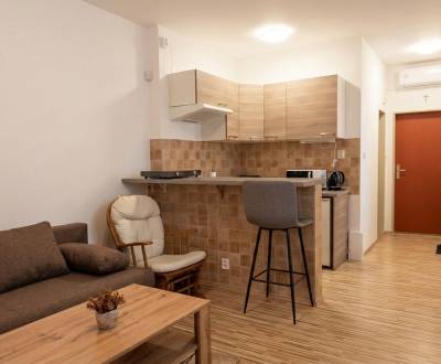 Rent Single studio, Single studio, Pekárska, Trnava, Slovakia