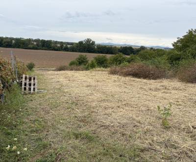 Sale Gardens, Gardens, Zvončín, Trnava, Slovakia