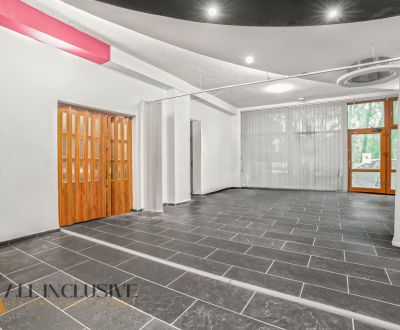 Sale Commercial premises, Commercial premises, Pentagon, Bratislava - 