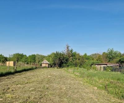 Sale Land – for living, Land – for living, Michalovce, Slovakia