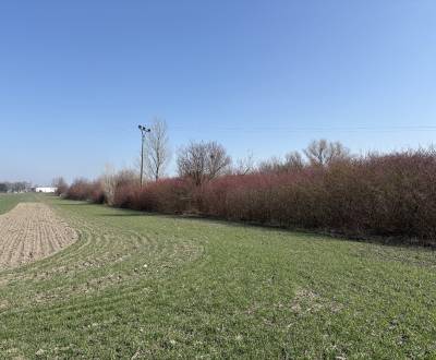 Sale Land – for living, Land – for living, Komárno, Slovakia