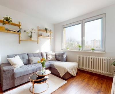 BA/DÚBRAVKA-Rent of a fully furnished 1-room apartment with a kitchen