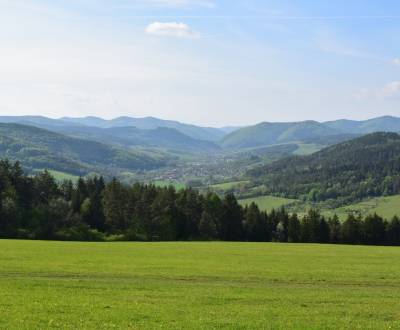 Sale Agrarian and forest land, Agrarian and forest land, Považská Byst