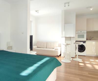 Rent Single studio, Single studio, V. Predmerského , Trenčín, Slovakia