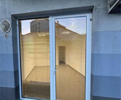 Rent Commercial premises, Commercial premises, Moyzesova, Senec, Slova