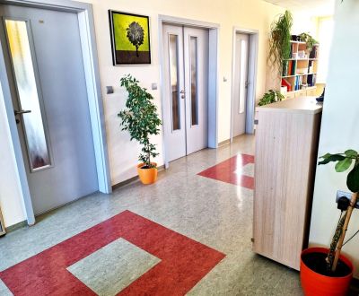 Offices in the centre of Žilina for rent