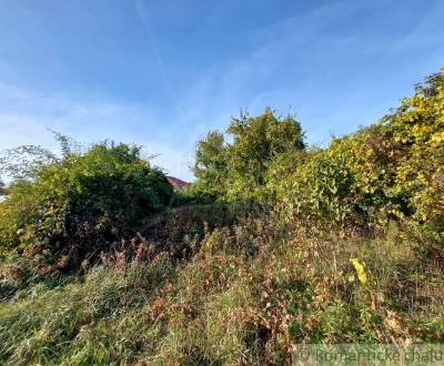 Sale Land – for living, Land – for living, Komárno, Slovakia