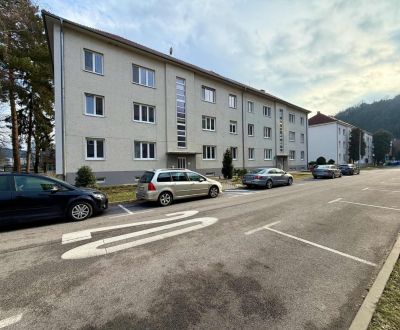 Sale One bedroom apartment, One bedroom apartment, Pod Sokolice, Trenč