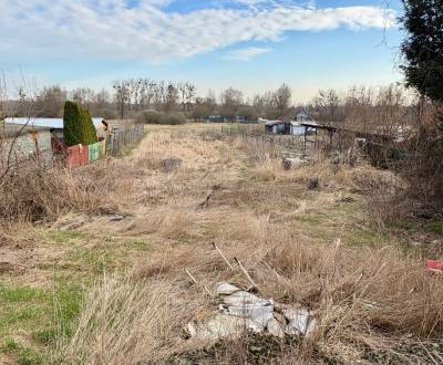 Sale Family house, Family house, Michalovce, Slovakia