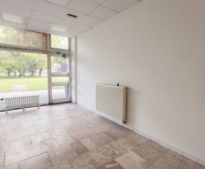 Rent Commercial premises, Commercial premises, Herlianska, Bratislava 
