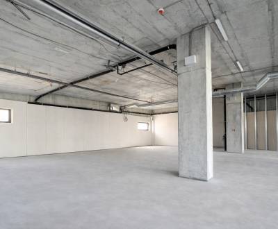 Rent Commercial premises, Commercial premises, Trnavská cesta, Bratisl