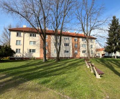 Rent One bedroom apartment, One bedroom apartment, Vajanského, Piešťan