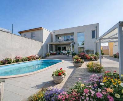 Sale Family house, Family house, Bratislavska, Pezinok, Slovakia