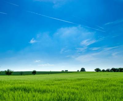 Searching for Land – for living, Land – for living, Zvolen, Slovakia