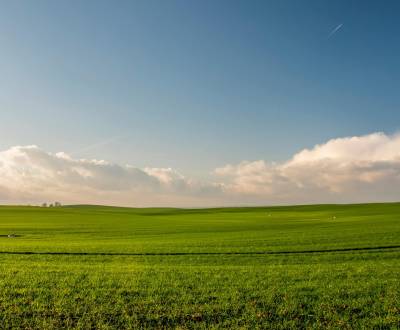 Searching for Land – for living, Land – for living, Banská Bystrica, S