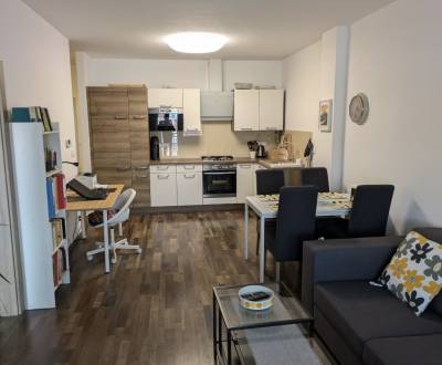 Rent One bedroom apartment, One bedroom apartment, Dona Sandtnera, Pez