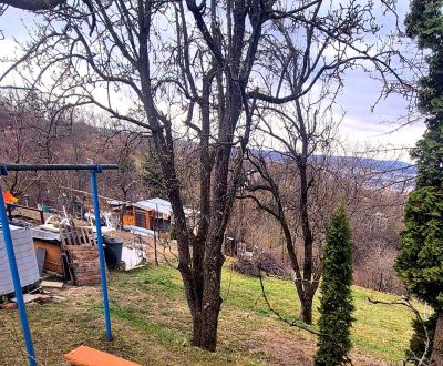 Sale Gardens, Gardens, Nižná Úvrať, Košice - Vyšné Opátske, Slovakia