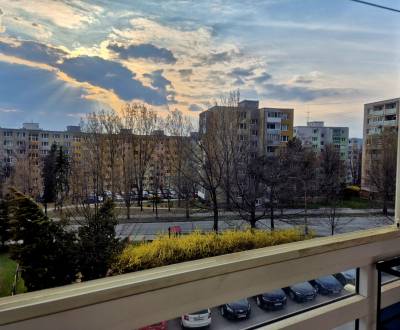 Sale Single studio, Single studio, Krosnianska, Košice - Dargovských h