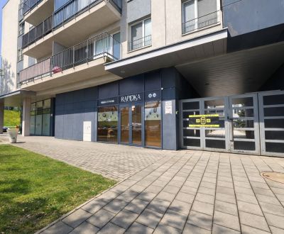 Sale Commercial premises, Commercial premises, Hrachová, Bratislava - 