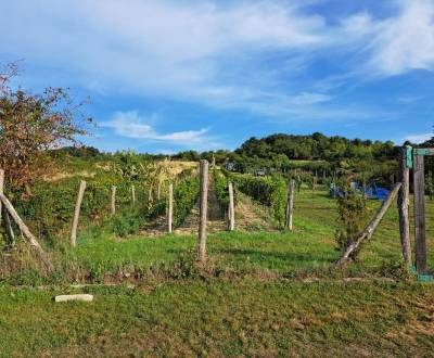 Sale Recreational land, Recreational land, Fajgalská cesta, Pezinok, S
