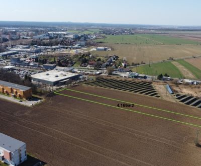 Sale Agrarian and forest land, Agrarian and forest land, Sotinská, Sen