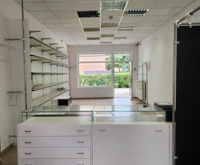 Rent Commercial premises, Commercial premises, Hviezdoslavova, Senica,