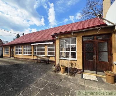 Sale Family house, Family house, Krupina, Slovakia