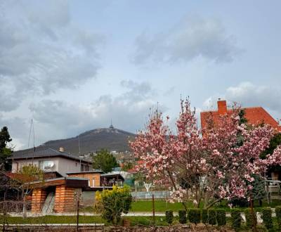 Sale Family house, Family house, Metodova, Nitra, Slovakia