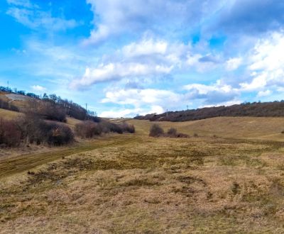 Sale Land – for living, Land – for living, Levočská, Prešov, Slovakia