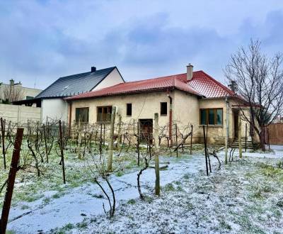 Sale Family house, Family house, Hlohovec, Slovakia