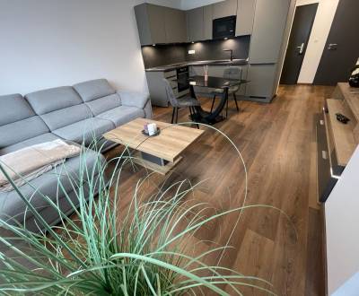 Rent One bedroom apartment, One bedroom apartment, Novomestská, Trnava