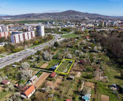 Sale Gardens, Gardens, Hviezdoslavova trieda, Nitra, Slovakia