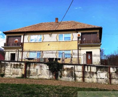 Sale Family house, Family house, Veľký Krtíš, Slovakia