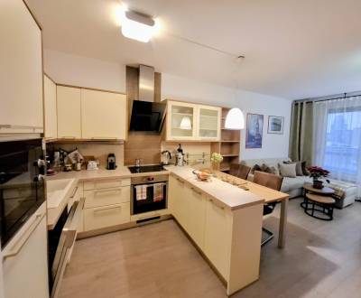 Rent One bedroom apartment, One bedroom apartment, Drieňová, Bratislav