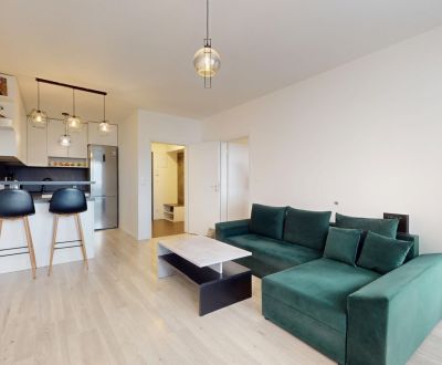 Sale One bedroom apartment, One bedroom apartment, Na pažiti, Trenčín,