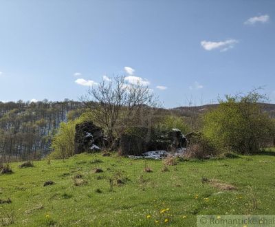 Sale Land – for living, Land – for living, Krupina, Slovakia