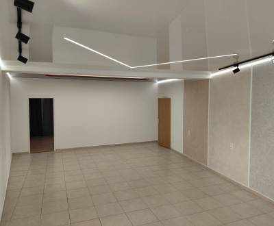 Rent Commercial premises, Commercial premises, Hálkova, Bratislava - N