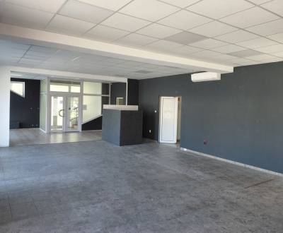 Rent Commercial premises, Commercial premises, Hálkova, Bratislava - N