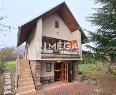 Sale Cottage, Cottage, Vinné, Michalovce, Slovakia