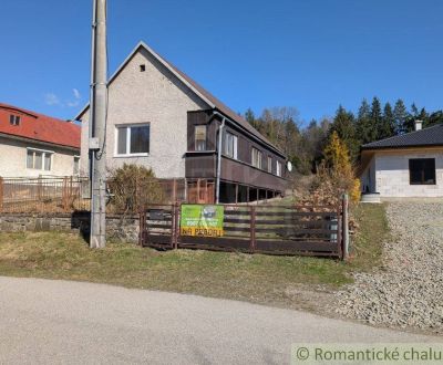 Sale Family house, Family house, Medzilaborce, Slovakia