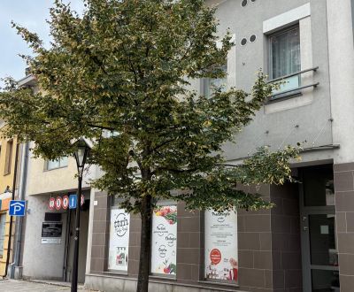 Sale Studio, Studio, Hornopotočná, Trnava, Slovakia