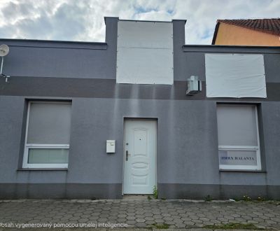 Sale Commercial premises, Commercial premises, Staničná, Galanta, Slov
