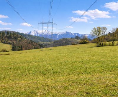 Sale Agrarian and forest land, Agrarian and forest land, Kotrčiná Lúčk