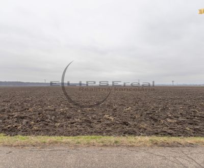 Sale Agrarian and forest land, Agrarian and forest land, Dolná, Malack